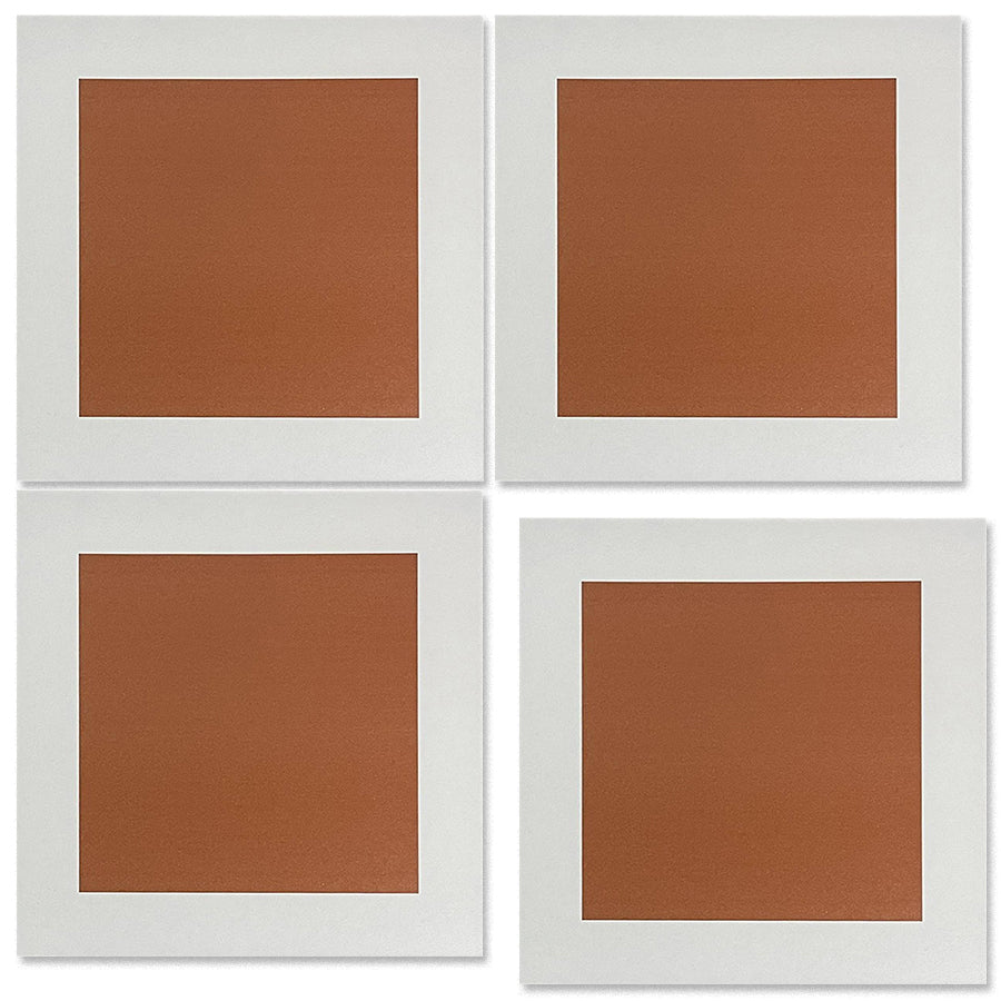 中國佛山瓷磚 China Foshan Tiles Encaustic Tiles 啞光地磚 牆磚 F092 花磚 裝飾磚 混裝發貨 隨機圖案 30×30cm