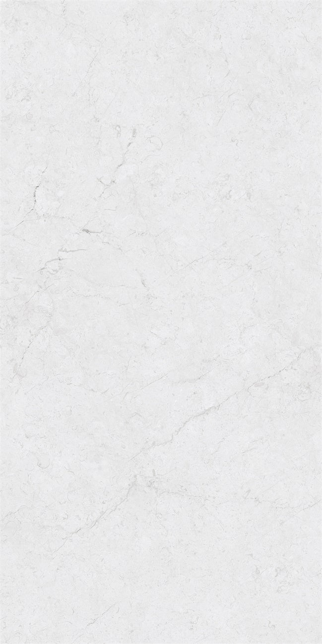 意大利設計磁磚 Italian Design Tiles 星云石 極光白 CX918101GY 90×180cm 地磚 牆磚 柔光磚 Dry grain and throw 半拋幹粒工藝 Dumb and soft face 啞柔面