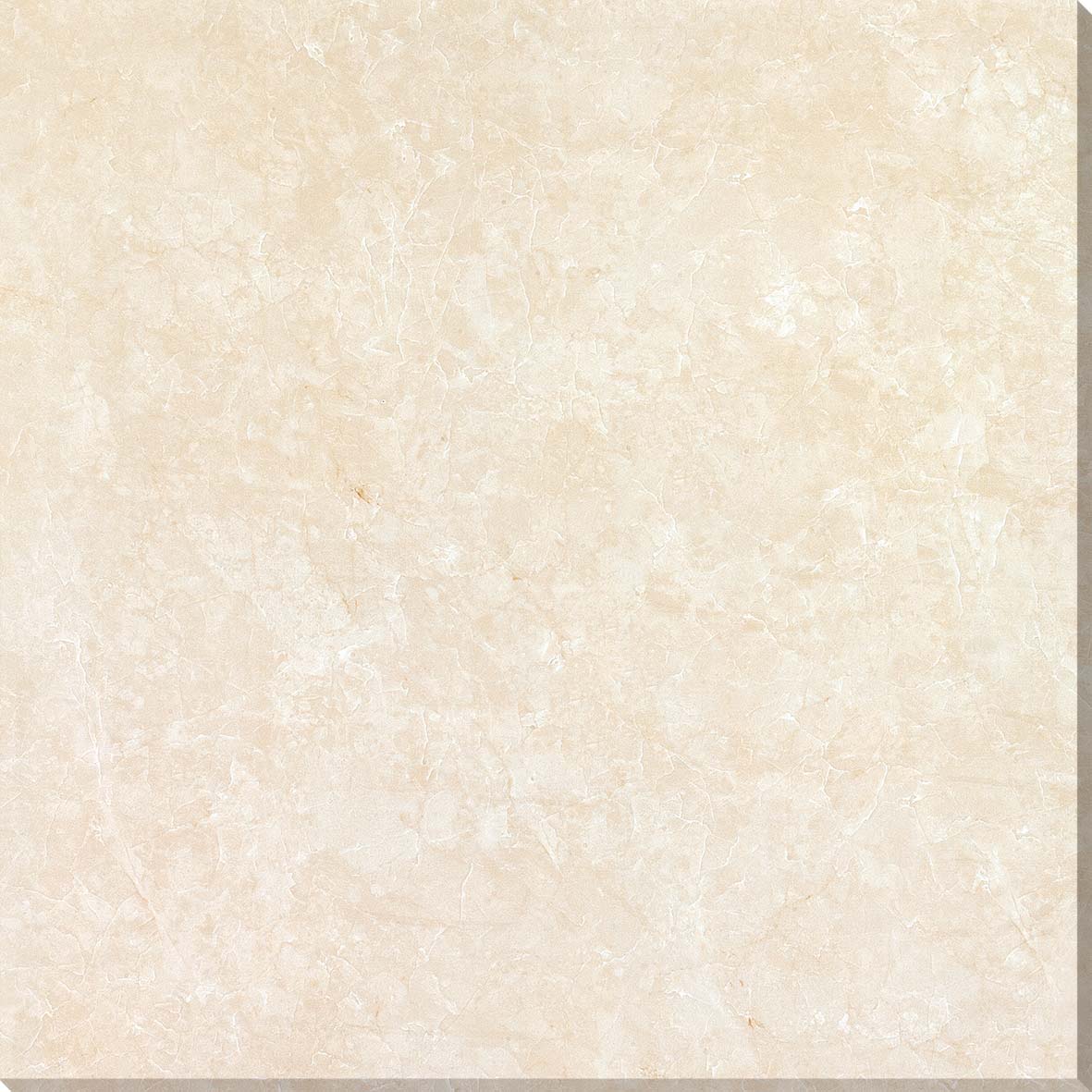 中國佛山瓷磚 China Foshan Marble Tiles Glossy 大理石瓷磚 連紋瓷磚 地磚 牆磚 釉面磚 8E8008白蘭玉 80×80cm