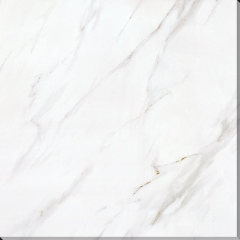 中國佛山磁磚 China Foshan Marble Tiles Glossy 大理石磁磚 連紋磁磚 地磚 牆磚 釉面磚 亮光面 天山白6B6095 60×60cm