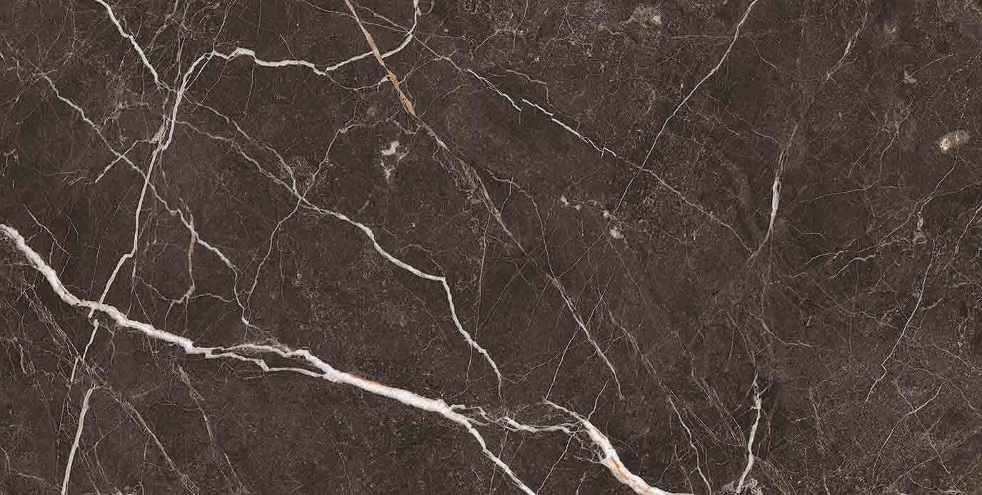 中國佛山瓷磚 China Foshan Marble Tiles Glossy 大理石瓷磚 連紋瓷磚 地磚 牆磚 釉面磚 亮光面 126E6010閃電啡 60×120cm