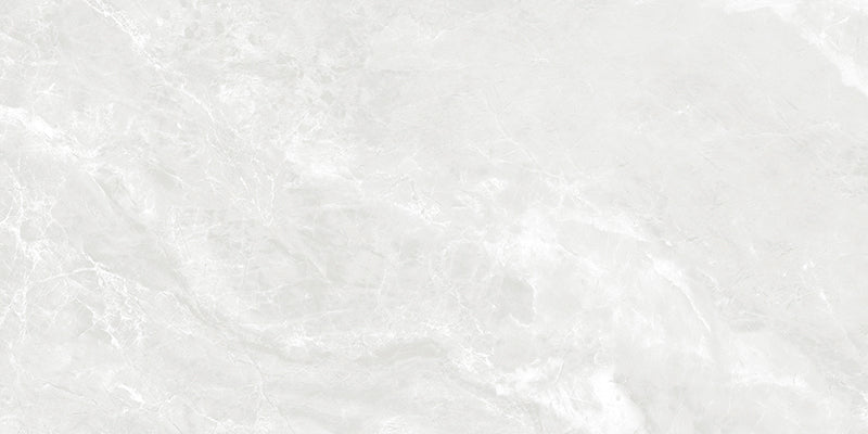 中國佛山瓷磚 China Foshan Marble Tiles Glossy 大理石瓷磚 連紋瓷磚 地磚 墻磚 釉面磚 亮光面 大衛灰GB48501 40×80cm