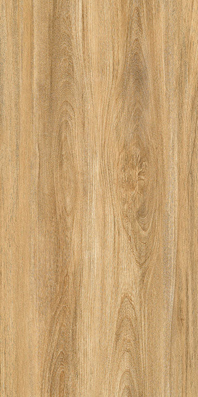 中國佛山磁磚 FOSHAN Tiles WG12662 木紋磚 Wood Grain Brick 地磚 啞光 60×120cm
