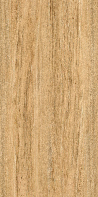中國佛山磁磚 FOSHAN Tiles WG12662 木紋磚 Wood Grain Brick 地磚 啞光 60×120cm