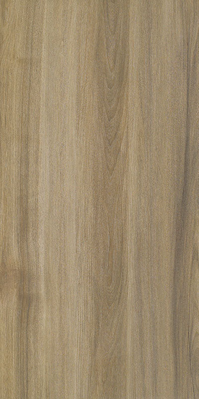 中國佛山磁磚 FOSHAN Tiles WG12663 木紋磚 Wood Grain Brick 地磚 啞光 60×120cm