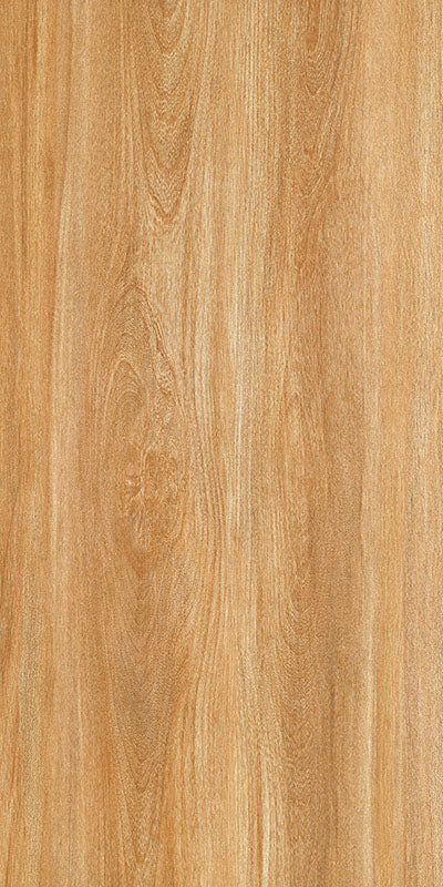 中國佛山磁磚 FOSHAN Tiles WG12665 木紋磚 Wood Grain Brick 地磚 啞光 60×120cm