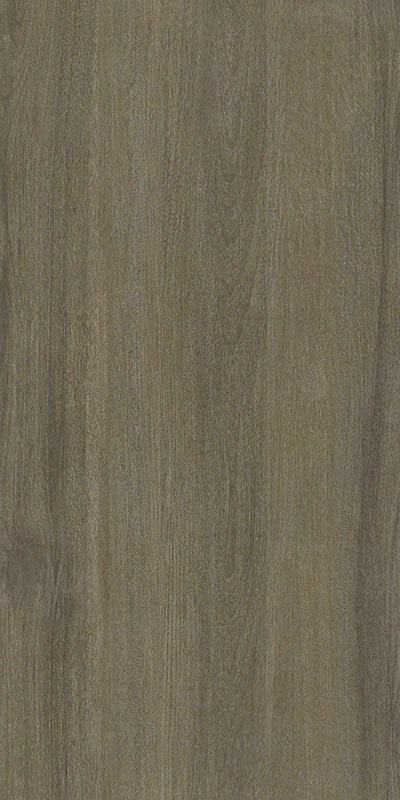中國佛山磁磚 FOSHAN Tiles WG12667 木紋磚 Wood Grain Brick 地磚 啞光 60×120cm