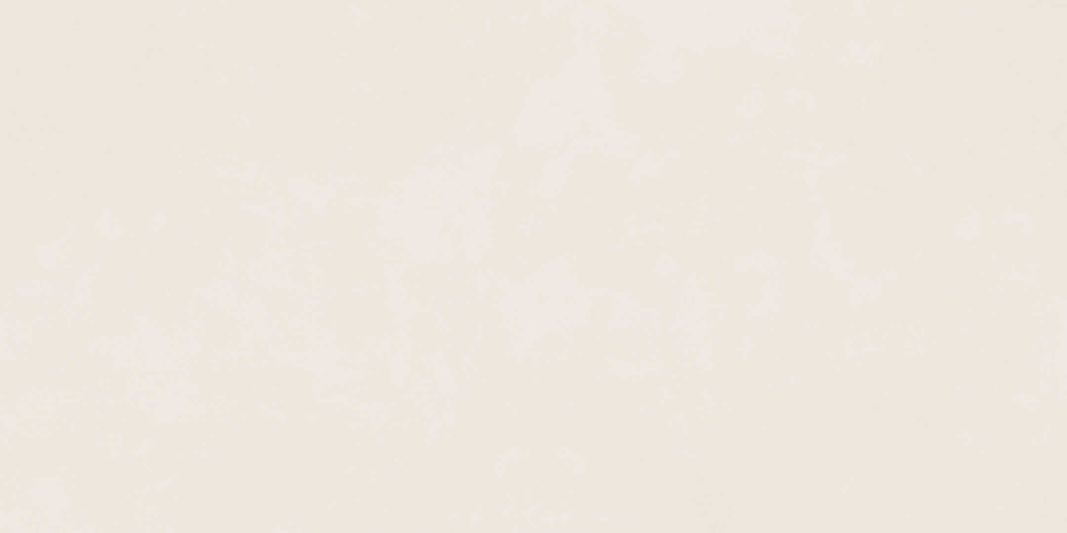 仿古磚 Rustic Tiles YM4811 極光白 40x80cm 中國佛山瓷磚 China Foshan Tiles 地磚 Floor Tiles 牆磚 Wall Tiles