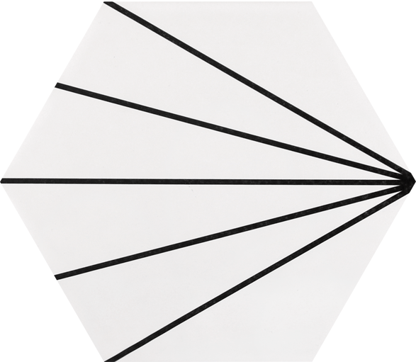 中國佛山瓷磚 China Foshan Tiles Encaustic Tiles 啞光地磚 牆磚 23006 23007 23016 FL261 FL262 FL263 FL264 FL265 FL266 花磚 裝飾磚 20×23cm