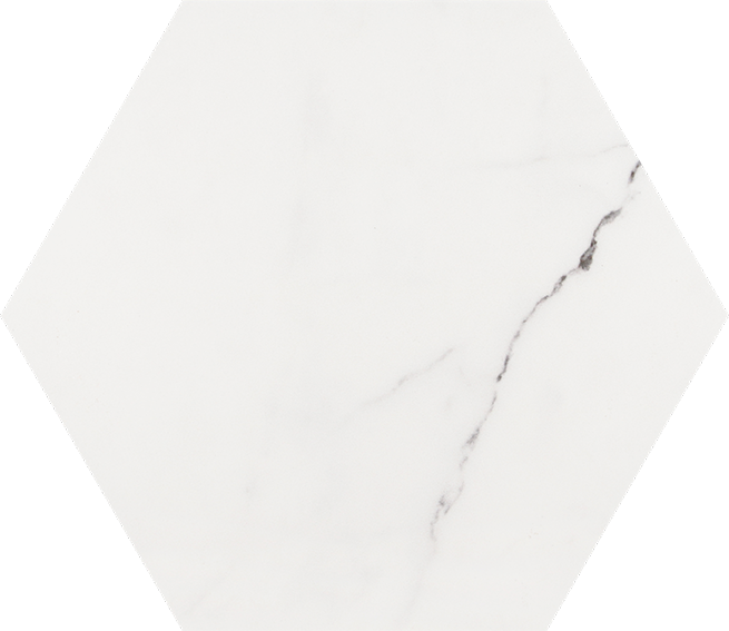 中國佛山瓷磚 China Foshan Tiles Encaustic Tiles 啞光地磚 牆磚 26001A 花磚 裝飾磚 26×30cm