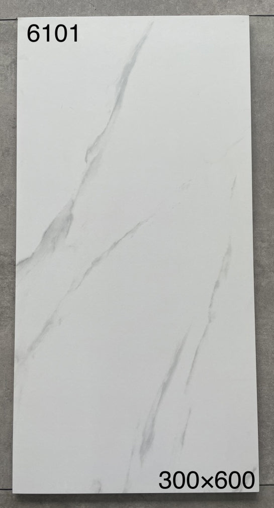 仿古磚 Rustic Tiles 啞光磚 6101 30x60cm中國佛山瓷磚 China Foshan Tiles 地磚 Floor Tiles 墻磚 Wall Tiles