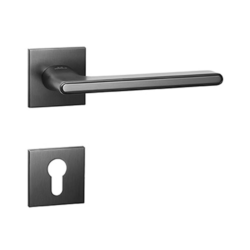 Door Lock Doors Handles Doors Hardware 升級款 門鎖 灰拉丝 866300YQ 分體鎖