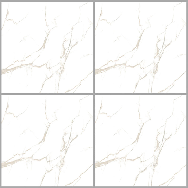 中國佛山磁磚 China Foshan Marble Tiles Glossy 大理石磁磚 連紋磁磚 地磚 牆磚 釉面磚 亮光面 B6019 60×60cm