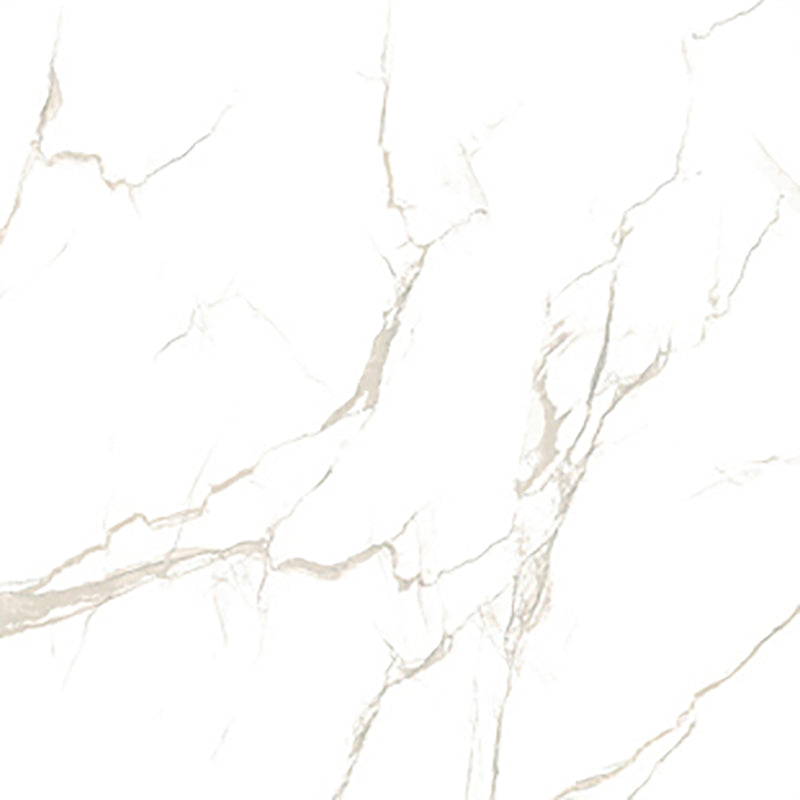 中國佛山磁磚 China Foshan Marble Tiles Glossy 大理石磁磚 連紋磁磚 地磚 牆磚 釉面磚 亮光面 B6019 60×60cm