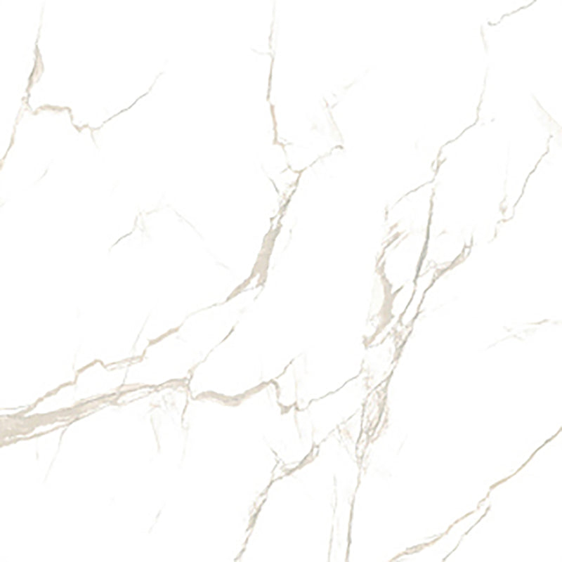 中國佛山磁磚 China Foshan Marble Tiles Glossy 大理石磁磚 連紋磁磚 地磚 牆磚 釉面磚 亮光面 B6019 60×60cm