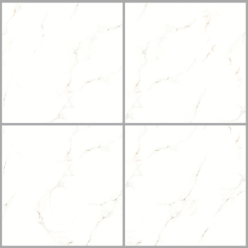 中國佛山磁磚 China Foshan Marble Tiles Glossy 大理石磁磚 連紋磁磚 地磚 牆磚 釉面磚 亮光面 B6048 60×60cm