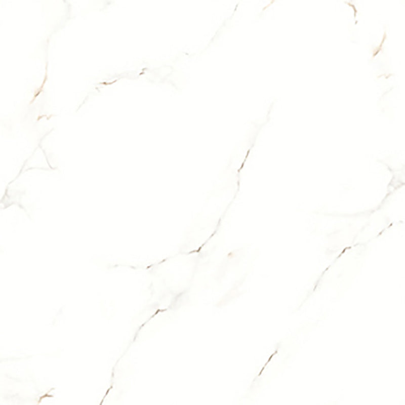 中國佛山磁磚 China Foshan Marble Tiles Glossy 大理石磁磚 連紋磁磚 地磚 牆磚 釉面磚 亮光面 B6048 60×60cm