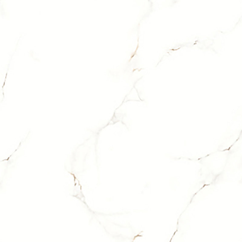 中國佛山磁磚 China Foshan Marble Tiles Glossy 大理石磁磚 連紋磁磚 地磚 牆磚 釉面磚 亮光面 B6048 60×60cm