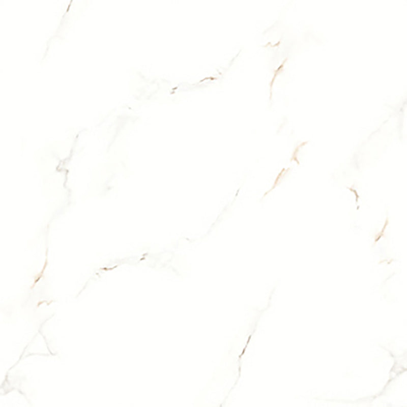 中國佛山磁磚 China Foshan Marble Tiles Glossy 大理石磁磚 連紋磁磚 地磚 牆磚 釉面磚 亮光面 B6048 60×60cm