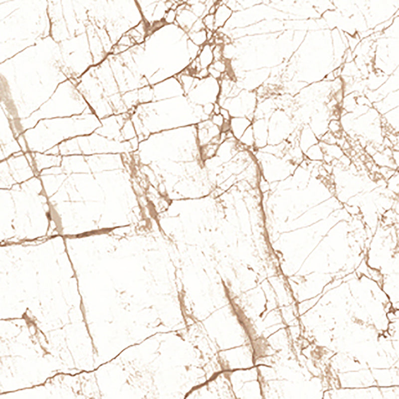 中國佛山磁磚 China Foshan Marble Tiles Glossy 大理石磁磚 連紋磁磚 地磚 牆磚 釉面磚 亮光面 B6104 60×60cm