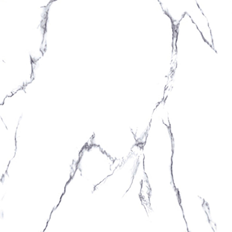 中國佛山磁磚 China Foshan Marble Tiles Glossy 大理石磁磚 連紋磁磚 地磚 牆磚 釉面磚 亮光面 B6110 60×60cm