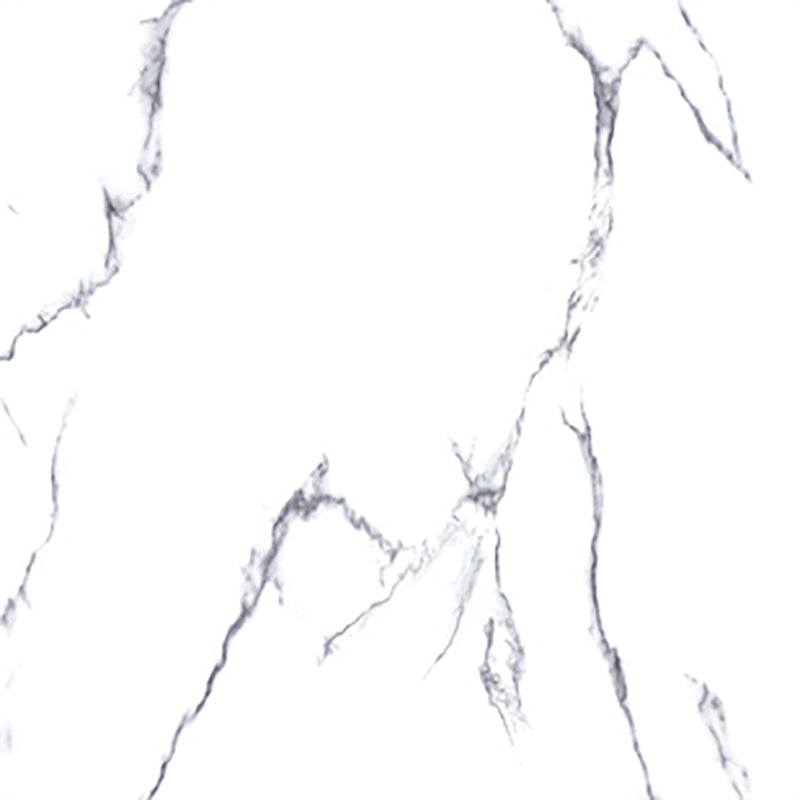 中國佛山磁磚 China Foshan Marble Tiles Glossy 大理石磁磚 連紋磁磚 地磚 牆磚 釉面磚 亮光面 B6110 60×60cm