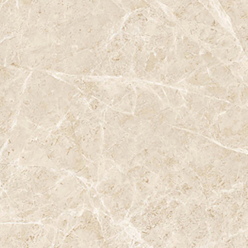 中國佛山磁磚 China Foshan Marble Tiles Glossy 大理石磁磚 連紋磁磚 地磚 牆磚 釉面磚 亮光面 B6691 60×60cm