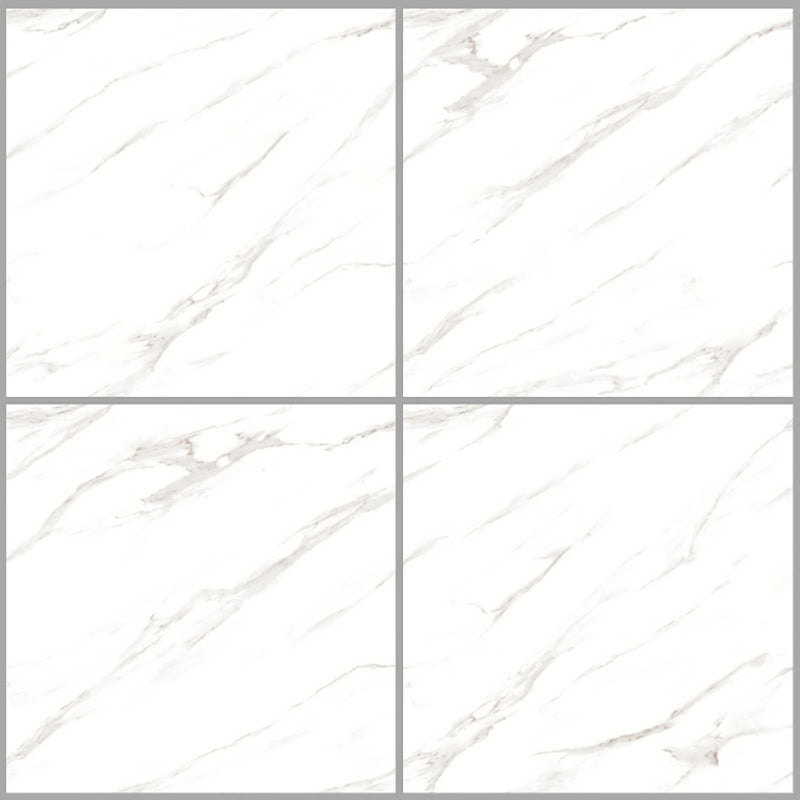 中國佛山磁磚 China Foshan Marble Tiles Glossy 大理石磁磚 連紋磁磚 地磚 牆磚 釉面磚 亮光面 B6881 60×60cm