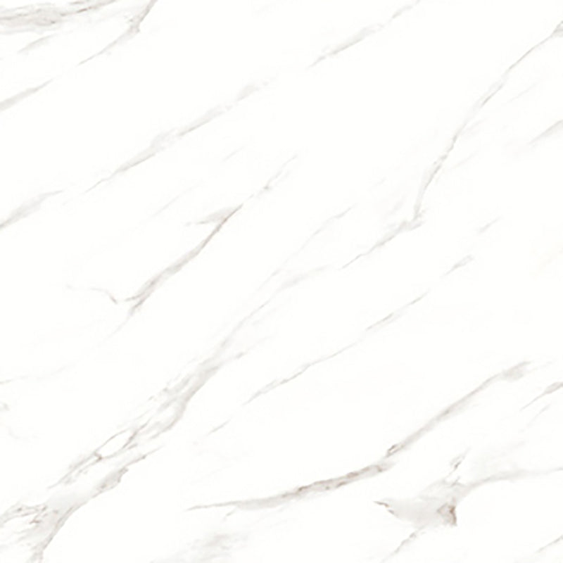 中國佛山磁磚 China Foshan Marble Tiles Glossy 大理石磁磚 連紋磁磚 地磚 牆磚 釉面磚 亮光面 B6881 60×60cm