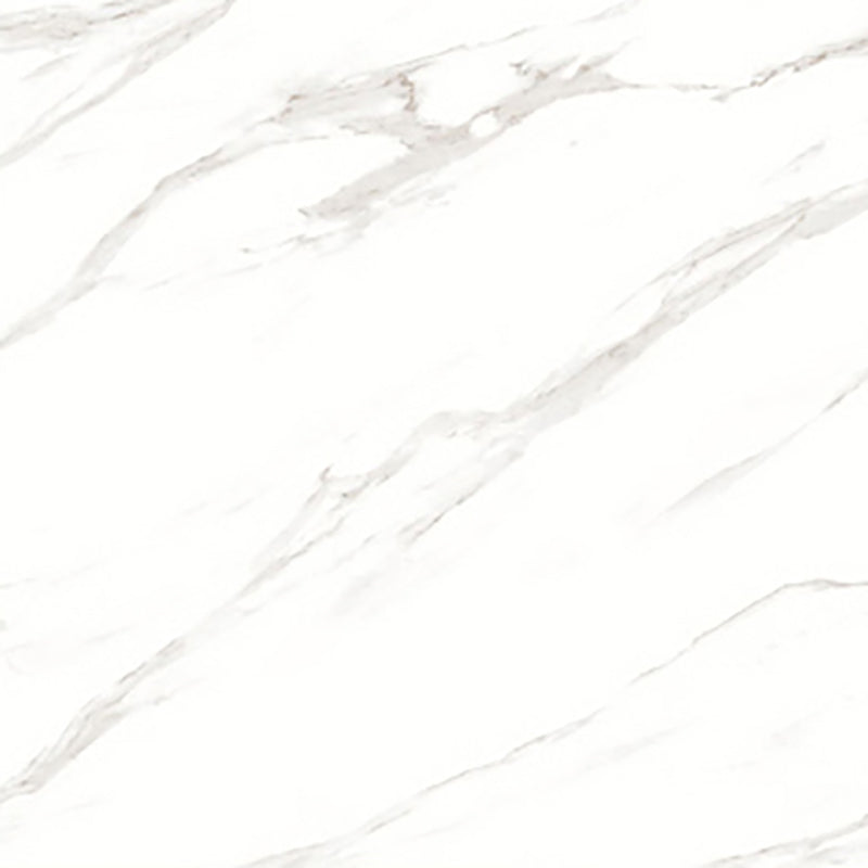 中國佛山磁磚 China Foshan Marble Tiles Glossy 大理石磁磚 連紋磁磚 地磚 牆磚 釉面磚 亮光面 B6881 60×60cm