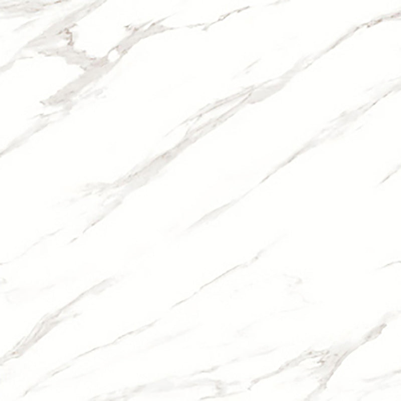 中國佛山磁磚 China Foshan Marble Tiles Glossy 大理石磁磚 連紋磁磚 地磚 牆磚 釉面磚 亮光面 B6881 60×60cm