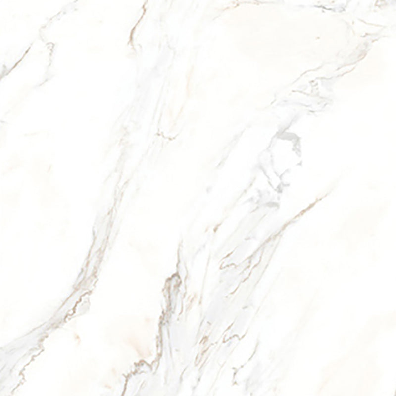 中國佛山磁磚 China Foshan Marble Tiles Glossy 大理石磁磚 連紋磁磚 地磚 牆磚 釉面磚 亮光面 B6884 60×60cm