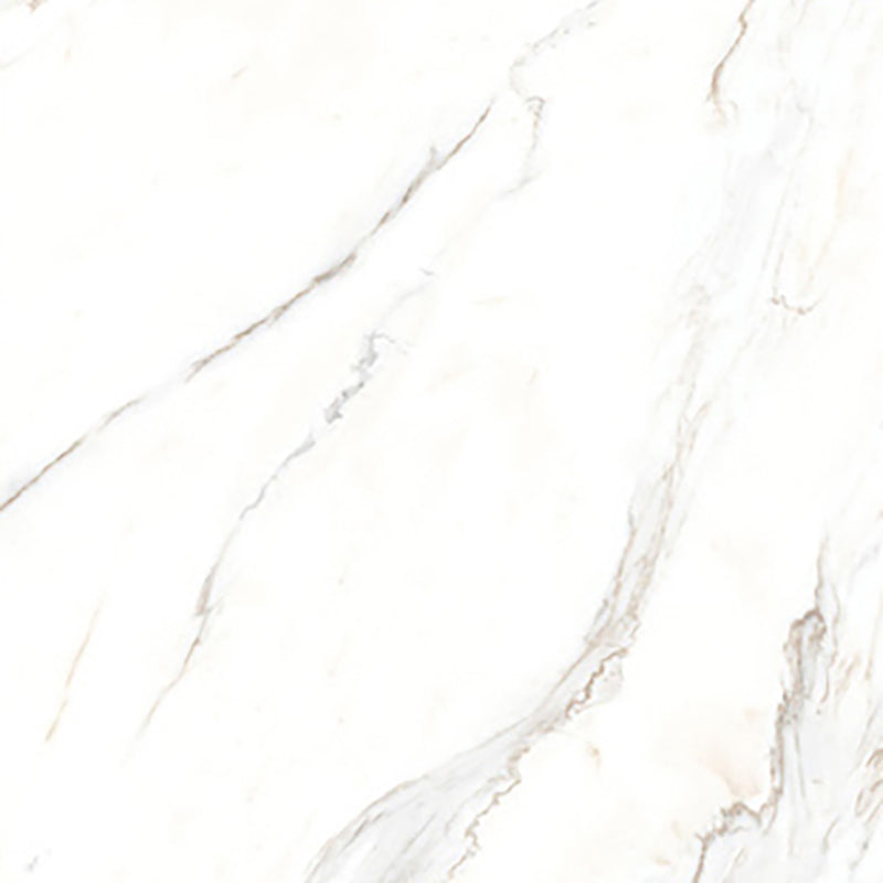 中國佛山磁磚 China Foshan Marble Tiles Glossy 大理石磁磚 連紋磁磚 地磚 牆磚 釉面磚 亮光面 B6884 60×60cm