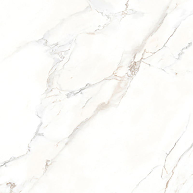 中國佛山磁磚 China Foshan Marble Tiles Glossy 大理石磁磚 連紋磁磚 地磚 牆磚 釉面磚 亮光面 B6884 60×60cm