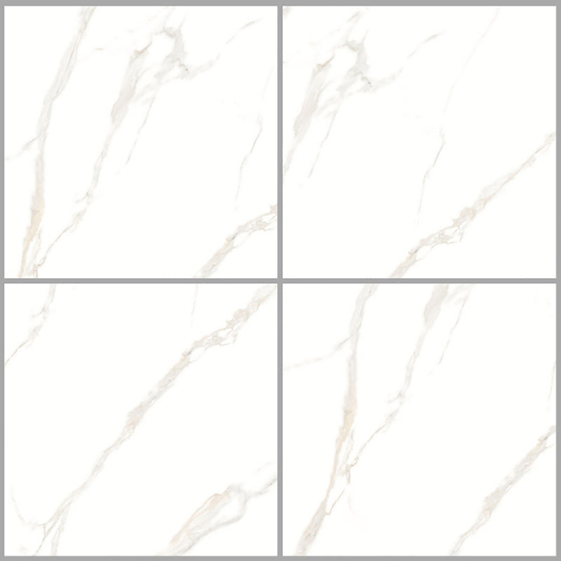 中國佛山磁磚 China Foshan Marble Tiles Glossy 大理石磁磚 連紋磁磚 地磚 牆磚 釉面磚 亮光面 B6886 60×60cm