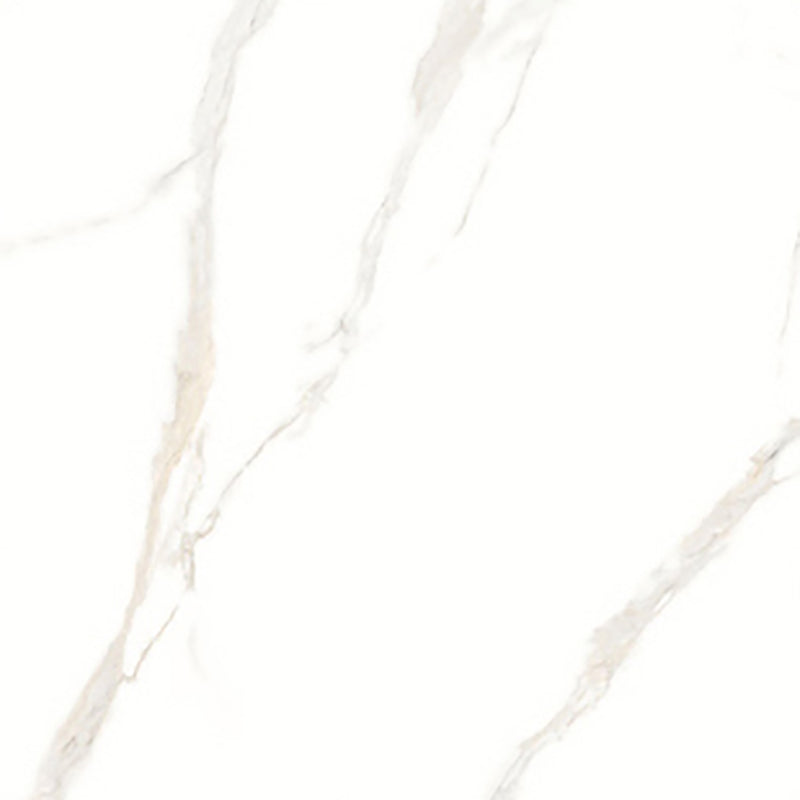 中國佛山磁磚 China Foshan Marble Tiles Glossy 大理石磁磚 連紋磁磚 地磚 牆磚 釉面磚 亮光面 B6886 60×60cm