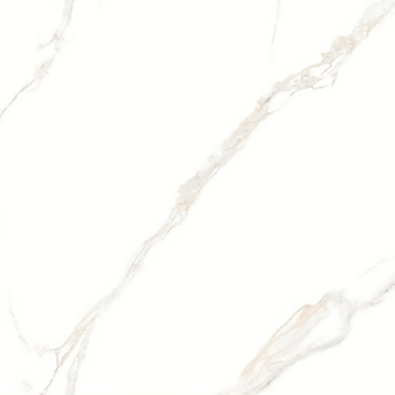 中國佛山磁磚 China Foshan Marble Tiles Glossy 大理石磁磚 連紋磁磚 地磚 牆磚 釉面磚 亮光面 B6886 60×60cm