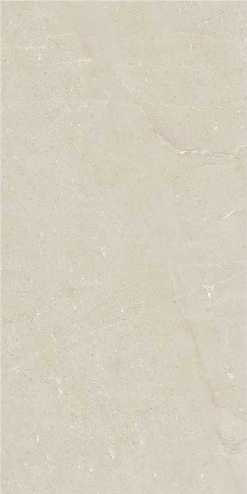 意大利設計瓷磚 Italian Design Tiles BK61262P Rustic Tiles Matte Tiles 仿古磚 啞光磚 60x120cm中國佛山瓷磚 China Foshan Tiles 地磚 Floor Tiles 墻磚 Wall Tiles