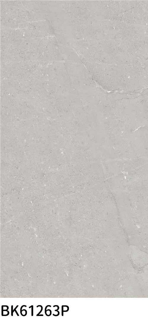 意大利設計瓷磚 Italian Design Tiles BK61263P Rustic Tiles Matte Tiles 仿古磚 啞光磚 60x120cm中國佛山瓷磚 China Foshan Tiles 地磚 Floor Tiles 墻磚 Wall Tiles