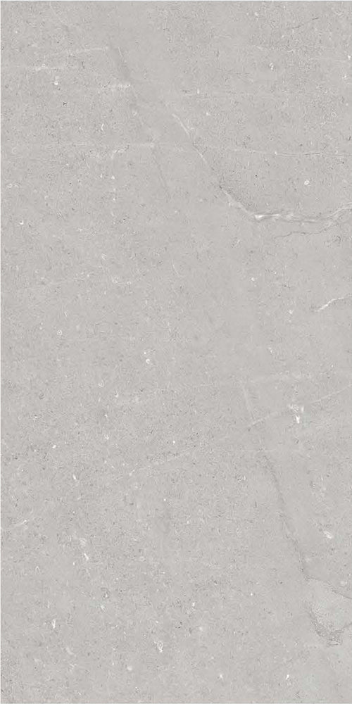 意大利設計瓷磚 Italian Design Tiles BK61263P Rustic Tiles Matte Tiles 仿古磚 啞光磚 60x120cm中國佛山瓷磚 China Foshan Tiles 地磚 Floor Tiles 墻磚 Wall Tiles
