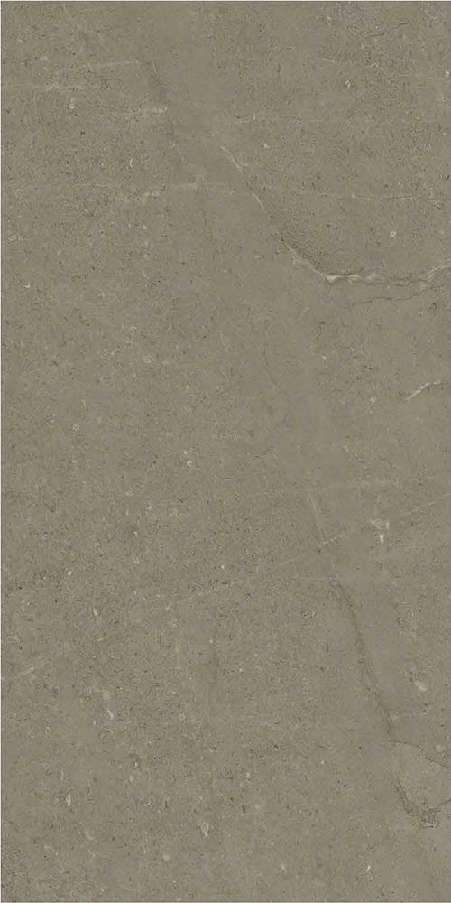 意大利設計瓷磚 Italian Design Tiles BK61265P Rustic Tiles Matte Tiles 仿古磚 啞光磚 60x120cm中國佛山瓷磚 China Foshan Tiles 地磚 Floor Tiles 墻磚 Wall Tiles