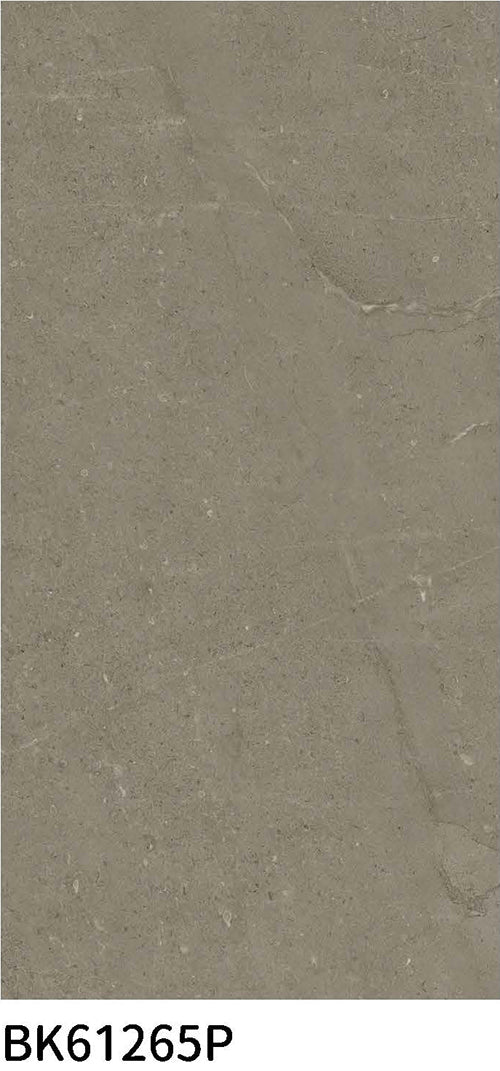 意大利設計瓷磚 Italian Design Tiles BK61265P Rustic Tiles Matte Tiles 仿古磚 啞光磚 60x120cm中國佛山瓷磚 China Foshan Tiles 地磚 Floor Tiles 墻磚 Wall Tiles