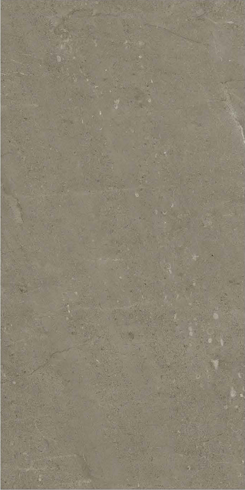 意大利設計瓷磚 Italian Design Tiles BK71565P Rustic Tiles Matte Tiles 仿古磚 啞光磚 75x150cm中國佛山瓷磚 China Foshan Tiles 地磚 Floor Tiles 墻磚 Wall Tiles
