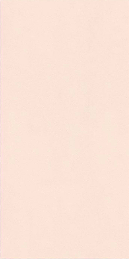 意大利設計瓷磚 Italian Design Tiles CS612S1 Rustic Tiles Matte Tiles 仿古磚 啞光磚 60x120cm中國佛山瓷磚 China Foshan Tiles 地磚 Floor Tiles 墻磚 Wall Tiles