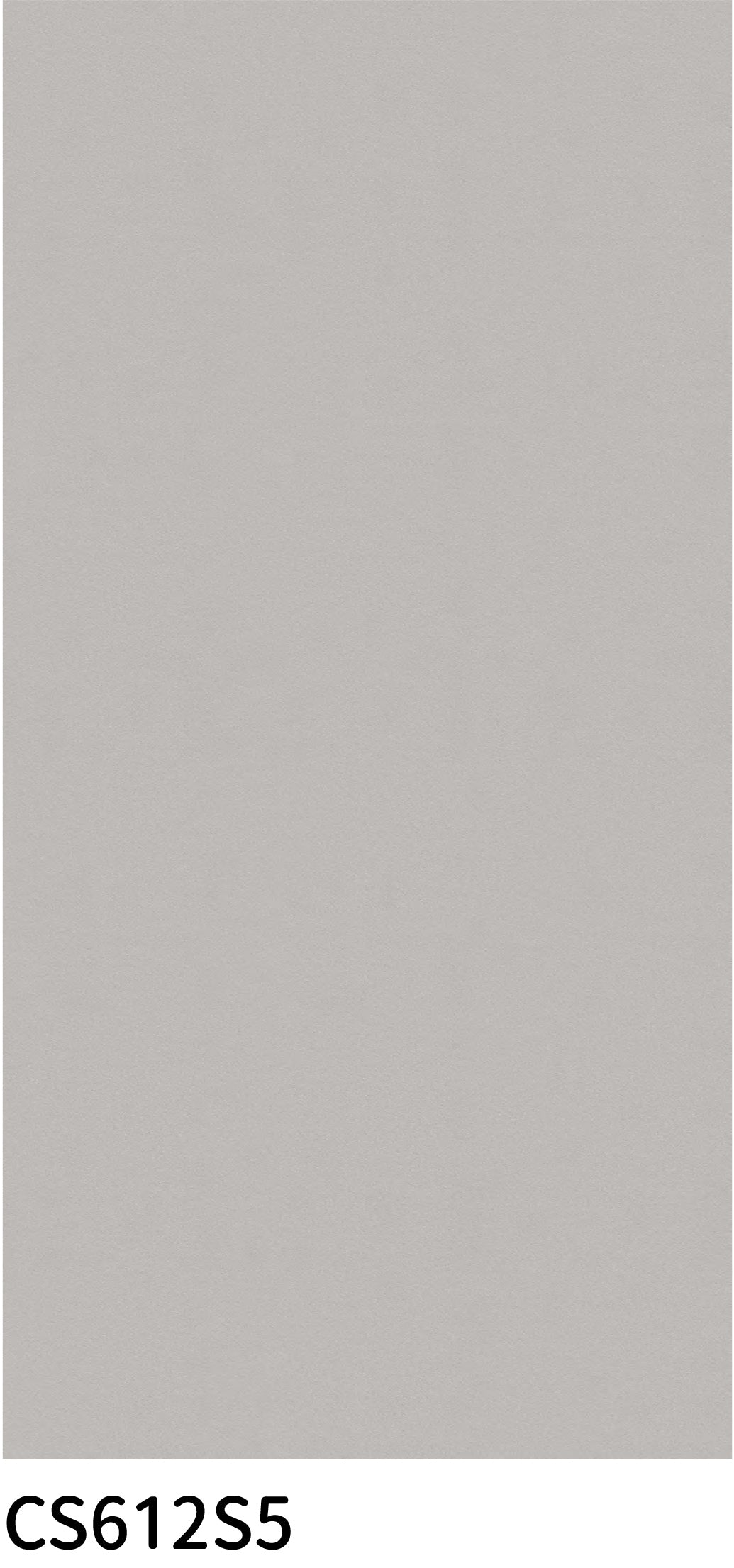 意大利設計瓷磚 Italian Design Tiles CS612S5 Rustic Tiles Matte Tiles 仿古磚 啞光磚 60x120cm中國佛山瓷磚 China Foshan Tiles 地磚 Floor Tiles 墻磚 Wall Tiles