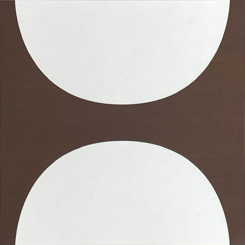 中國佛山瓷磚 China Foshan Tiles Encaustic Tiles 啞光地磚 牆磚F30469 F30500 F30549W F30550W花磚 裝飾磚 混裝發貨 隨機圖案 30×30cm