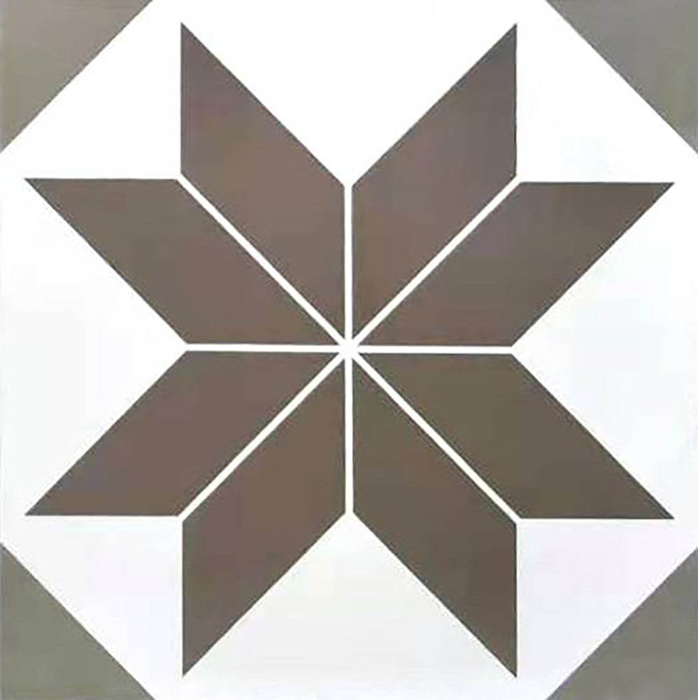 中國佛山瓷磚 China Foshan Tiles Encaustic Tiles 啞光地磚 牆磚 F6043 花磚 裝飾磚 60×60cm