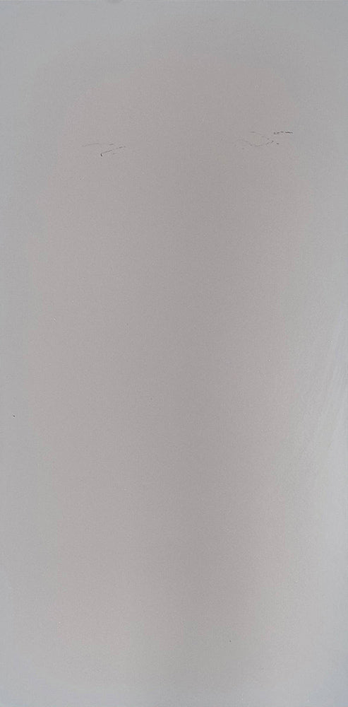 中國佛山瓷磚 China Foshan Tiles Encaustic Tiles 啞光地磚 牆磚 FC48802 花磚 裝飾磚 40×80cm