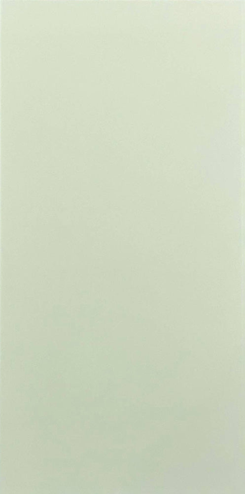 中國佛山瓷磚 China Foshan Tiles Encaustic Tiles 啞光地磚 牆磚 FC48812 花磚 裝飾磚 40×80cm