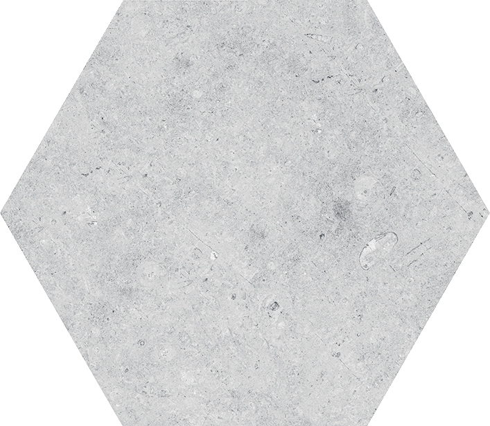 中國佛山瓷磚 China Foshan Tiles Encaustic Tiles 啞光地磚 牆磚 FL23047 FL23048 花磚 裝飾磚 20×23cm
